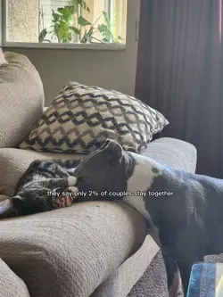 ....