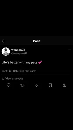 Pets