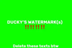 Ducky’s watermark ‼️