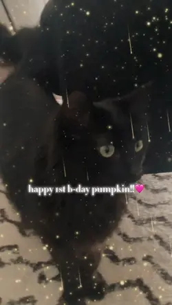 Pumpkin’s 1st bday!