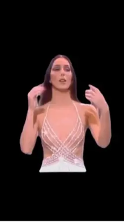 Cher dress