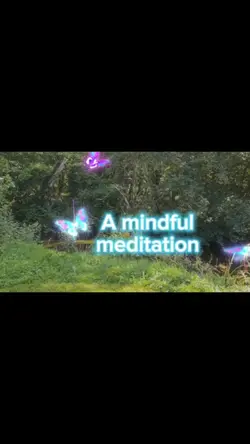 a mindful meditation