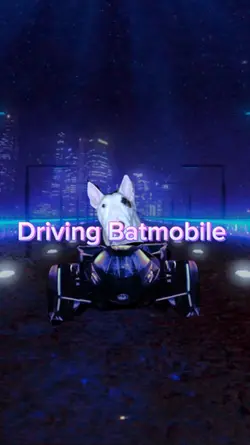 Driving Batmobile