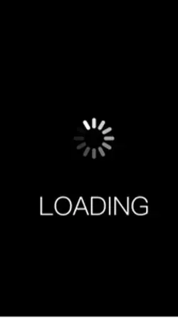 Loading