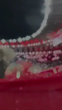 flamengo