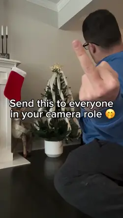 Middle finger meme