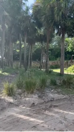 Safari