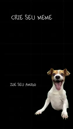 risadinha de meme
