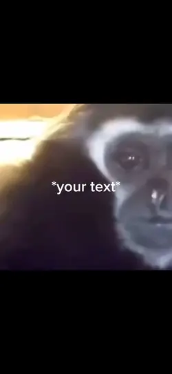 Sad monkey😣