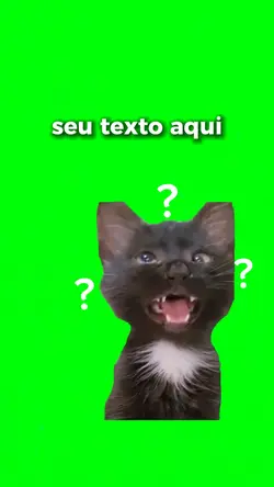 meme gato vesgo