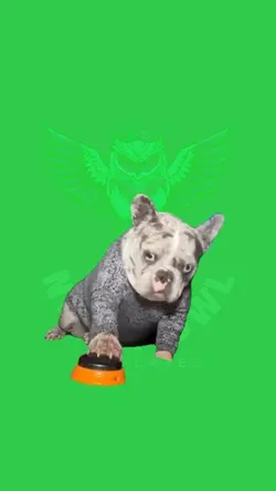 Hell Naw Frenchie 