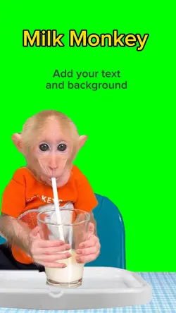 Monkey Drinks Milk 
