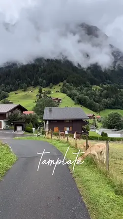 Mini vlog 