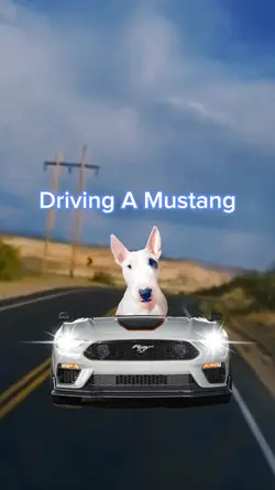 Driving A Mustang