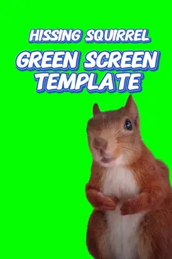 Hissing Squirrel