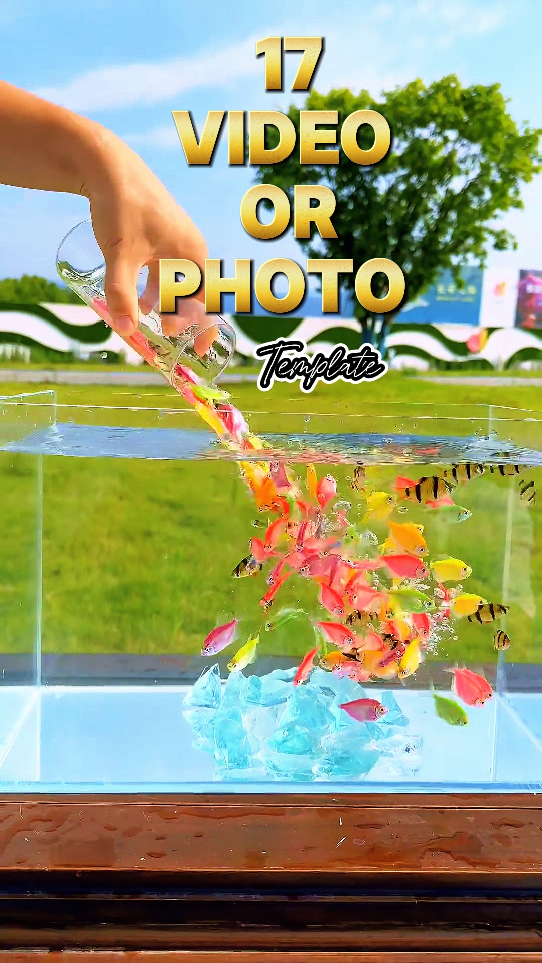 capcut template cover