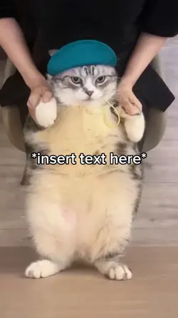 Cat Dancing 