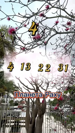 Number consciousness