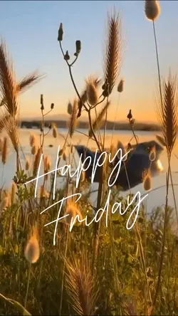Happy Friday ❤️