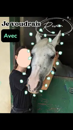 Je voudrais …