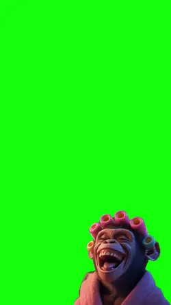 laughing monkey