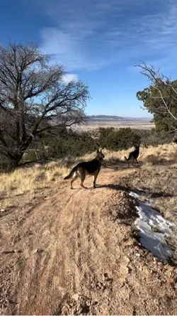 8 clip GSD hike