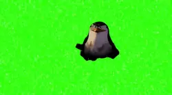 you didn't see any