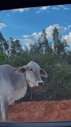 Fazenda 🍃🪵