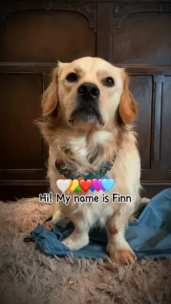 Collecting hearts 💙🩵