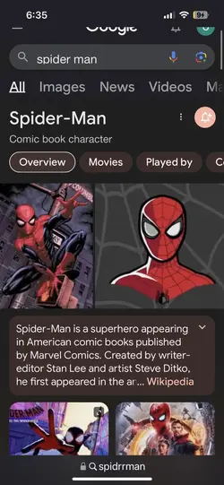🕷️ 🕸️