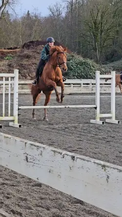 jump