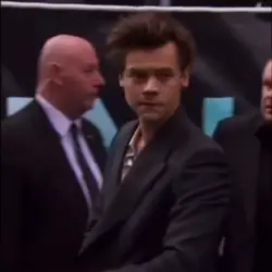Harry stylesss
