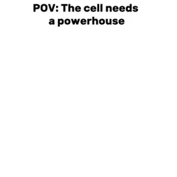 MITOCHONDRIA ‼️‼️‼️