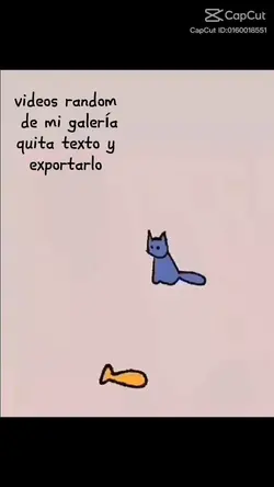 random xd