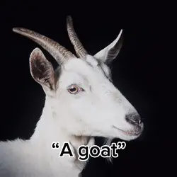 THE 🐐