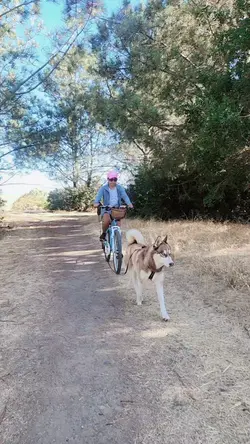 Riding bicycle 