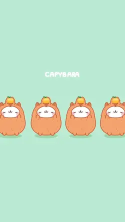 CaPyBaRa