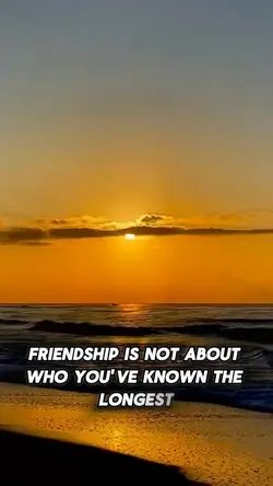 Friendship