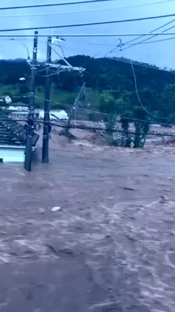 força gaúchos 
