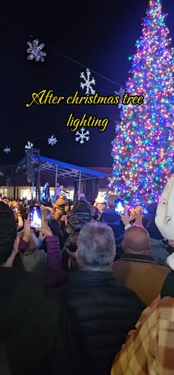 Christmas Tree Light