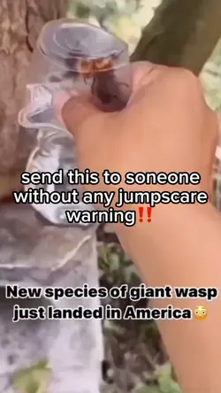 jumpscare👹😈
