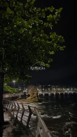 Memórias 2024✨