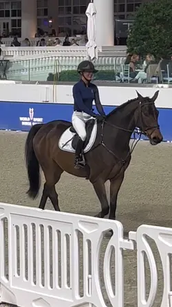 WEC HORSE AUCTION😍😍
