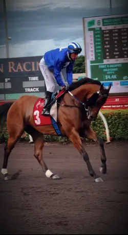 Horse racing 🏇🏿 