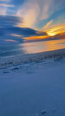 🏝️🌊☀️