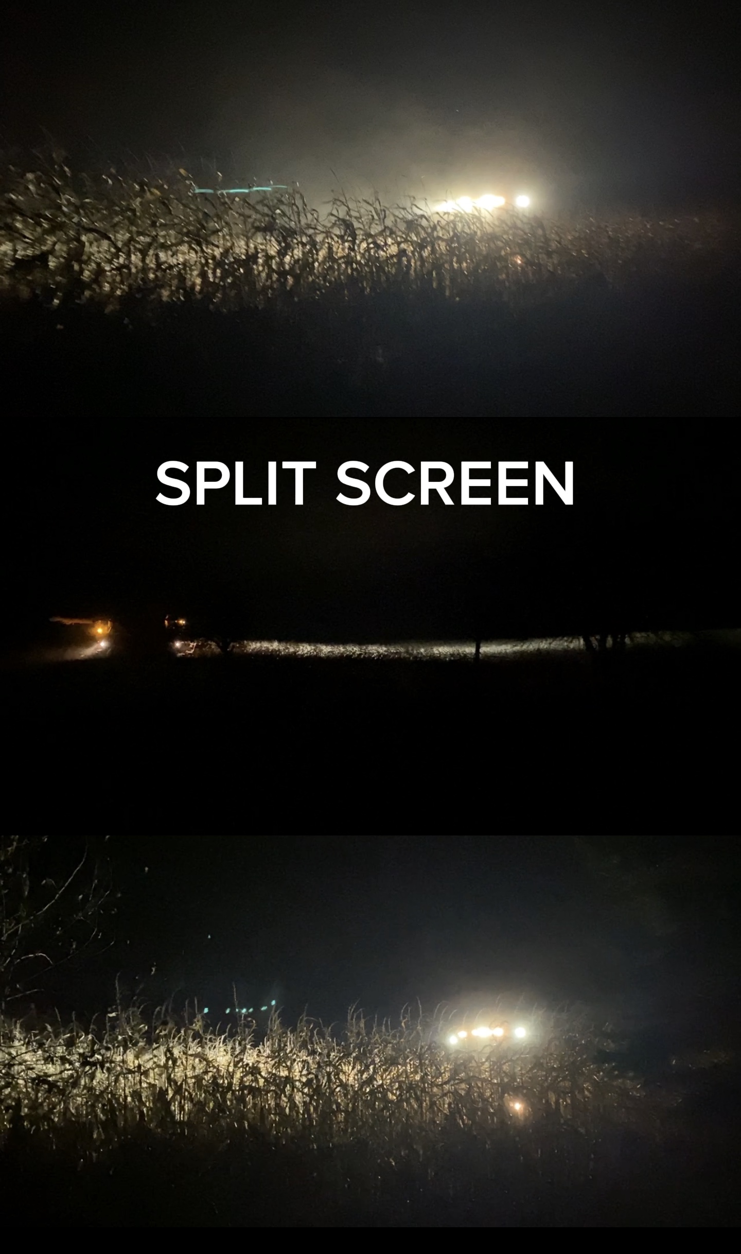 Split Slash Screen Template - Pippit