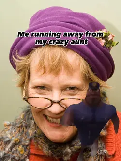 Crazy aunt