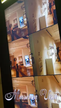 Museum Visit 
