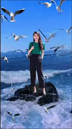 Seagull