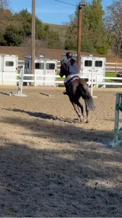 Lesson yesterday